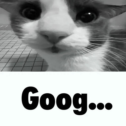 Goog... Goog...